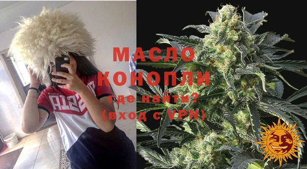 гашик Алексеевка