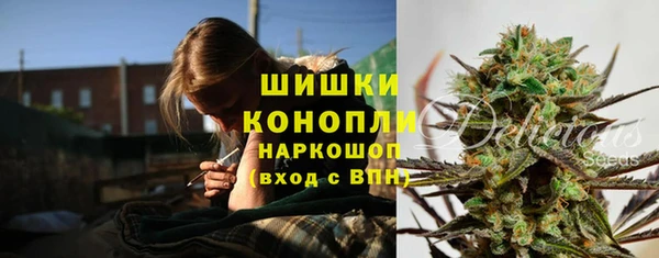 ГАЛЛЮЦИНОГЕННЫЕ ГРИБЫ Балахна