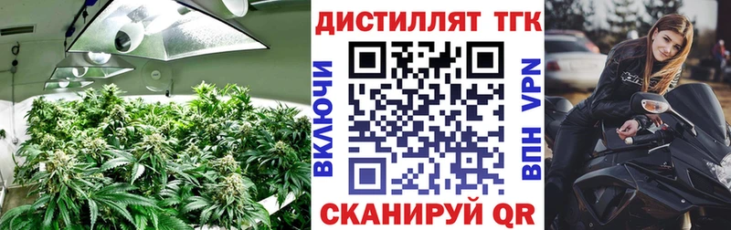 купить наркотик  blacksprut сайт  ТГК вейп  Коряжма 