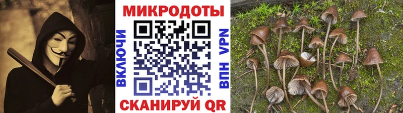 Галлюциногенные грибы GOLDEN TEACHER  продажа наркотиков  Коряжма 