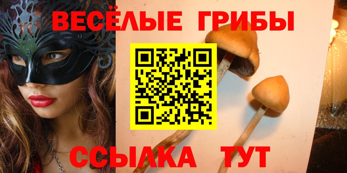 Галлюциногенные грибы MAGIC MUSHROOMS  Вход с VPN  магазин  наркотиков  Коряжма 